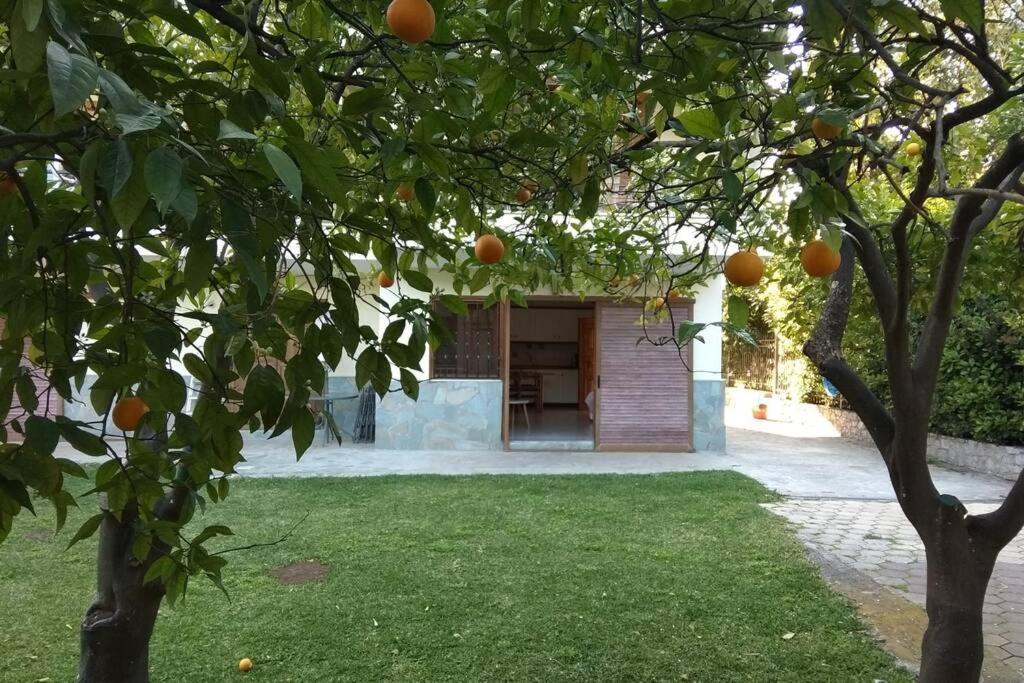 Electra Apartment In Epidaurus Екстериор снимка